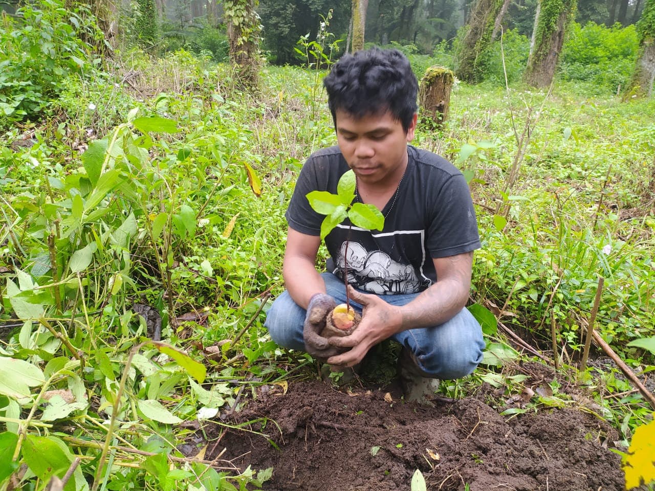 A volunteer holding a sapling at the TAHURA planting site, North Sumatra