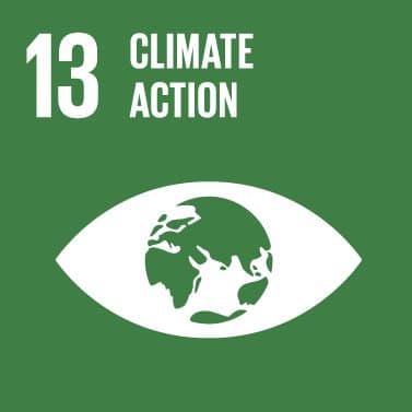 UN Sustainable Development Goal 13 icon: Climate action