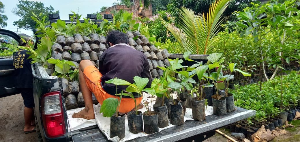 Planting at TAHURA, North Sumatra, 2020