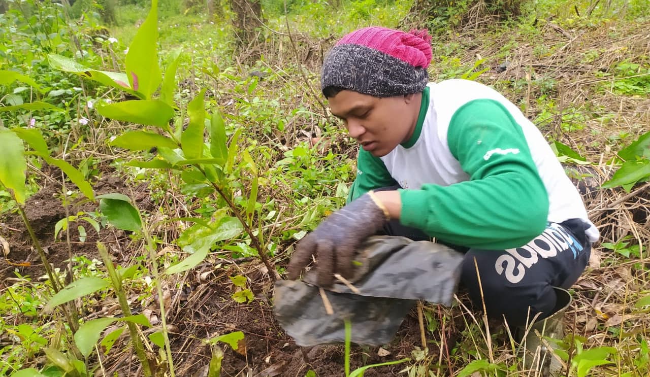 Planting at TAHURA, North Sumatra, 2020