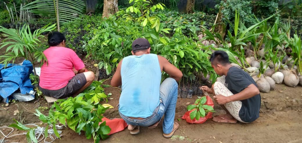 Planting at TAHURA, North Sumatra, 2020