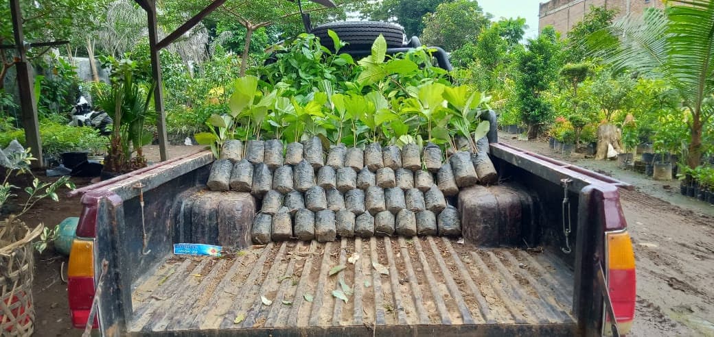 Planting at TAHURA, North Sumatra, 2020