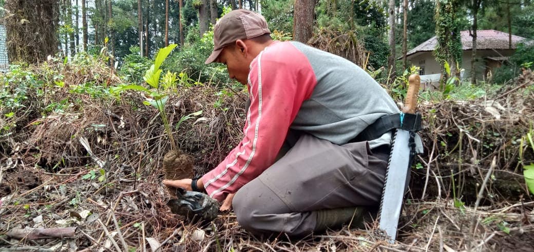 Planting at TAHURA, North Sumatra, 2020