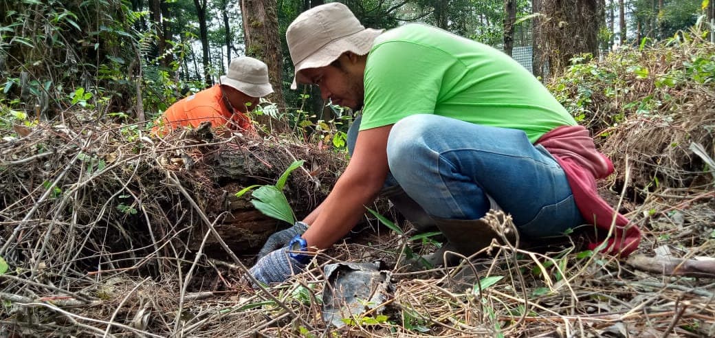 Planting at TAHURA, North Sumatra, 2020