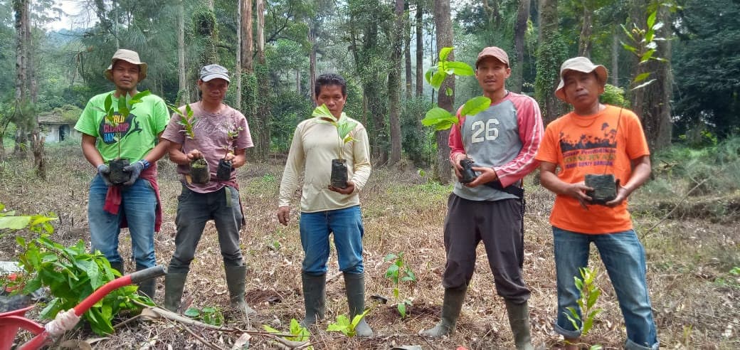 Planting at TAHURA, North Sumatra, 2020