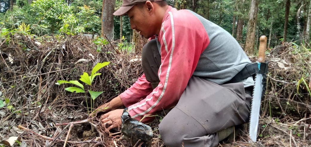 Planting at TAHURA, North Sumatra, 2020