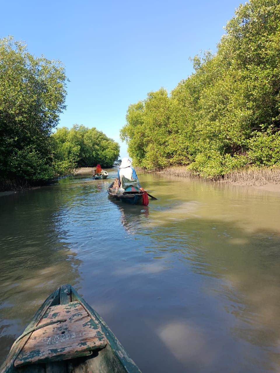 Mangrove planting along the Javanese coast, 2021