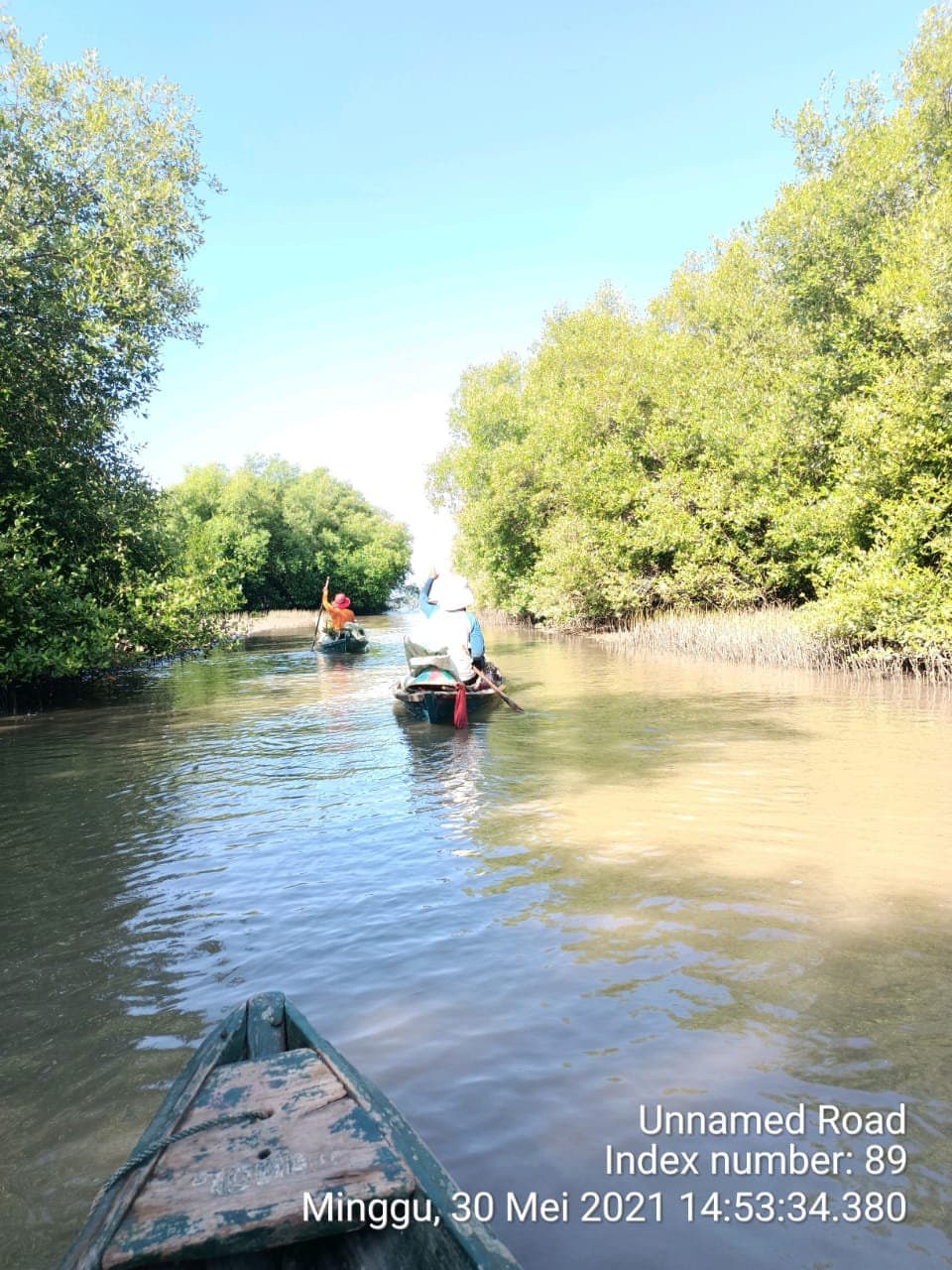 Mangrove planting along the Javanese coast, 2021