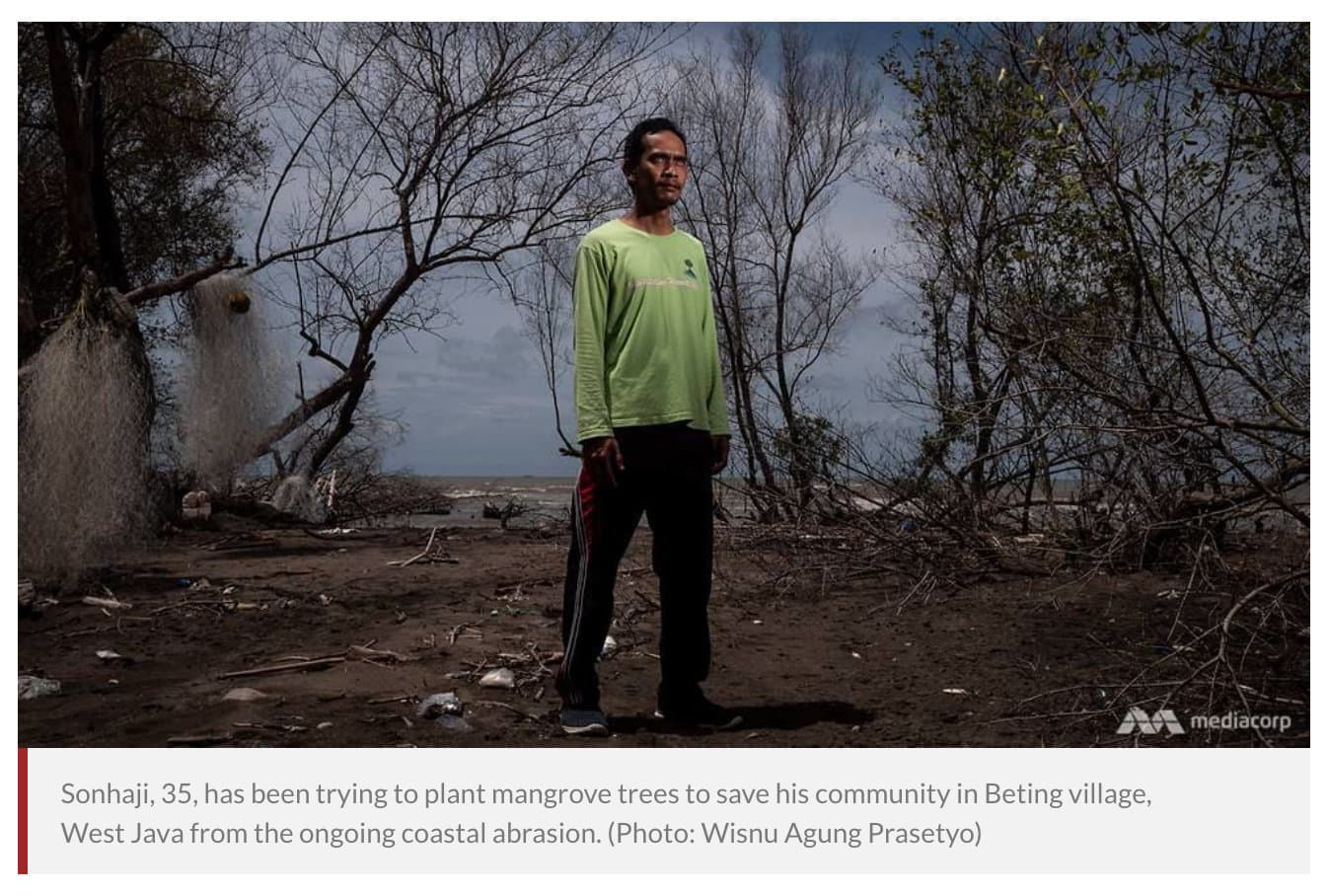 Mr Sonhaji standing among the mangroves he planted in Beting village