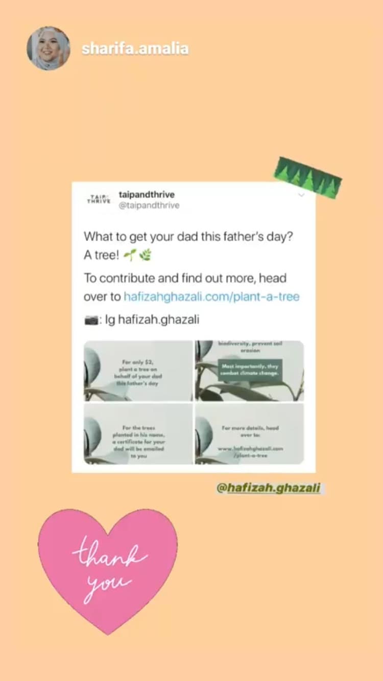 A contributor’s Instagram story sharing their Trees for Abah e-certificate