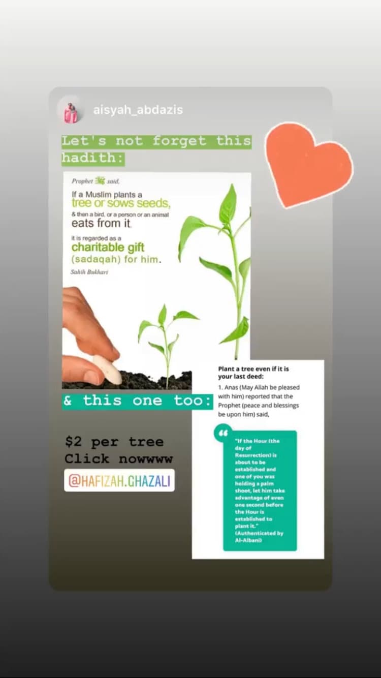 A contributor’s Instagram story sharing their Trees for Abah e-certificate